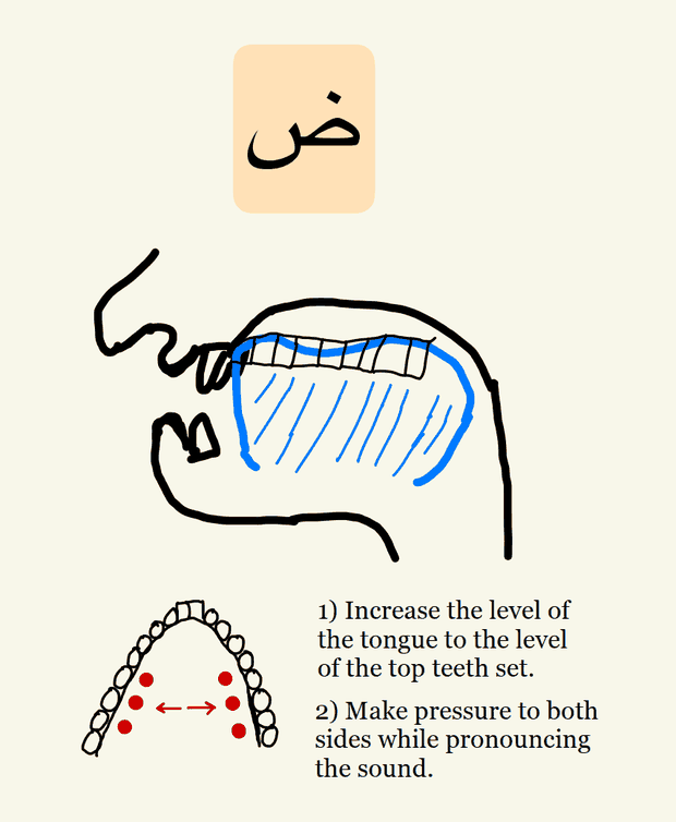 Pronunciation diagram for the Arabic letter daad